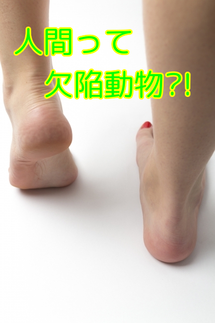 人間って 欠陥動物